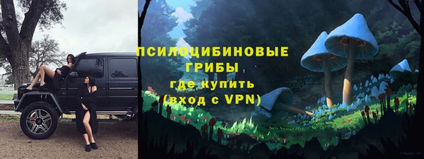 спайс Алзамай